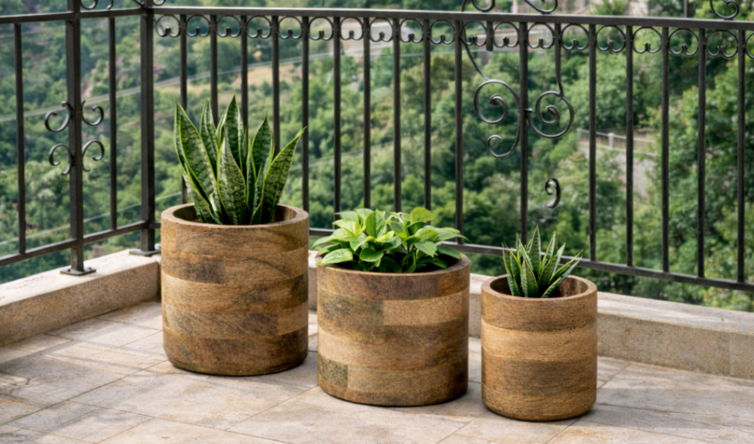 Three decorative potted plants styled on a balcony with a lush green view.